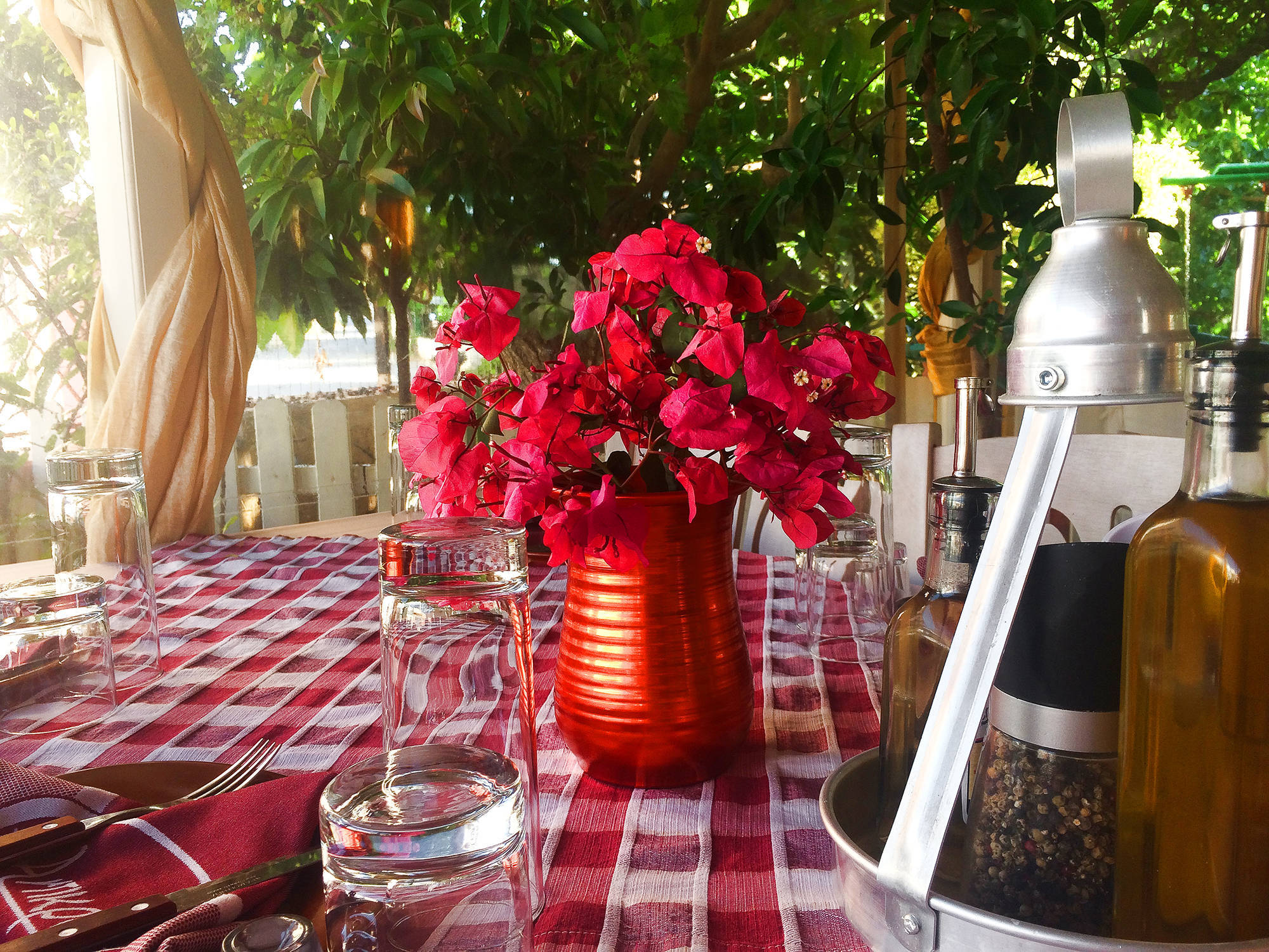 Bougenvillea antikrysto(FILEminimizer)